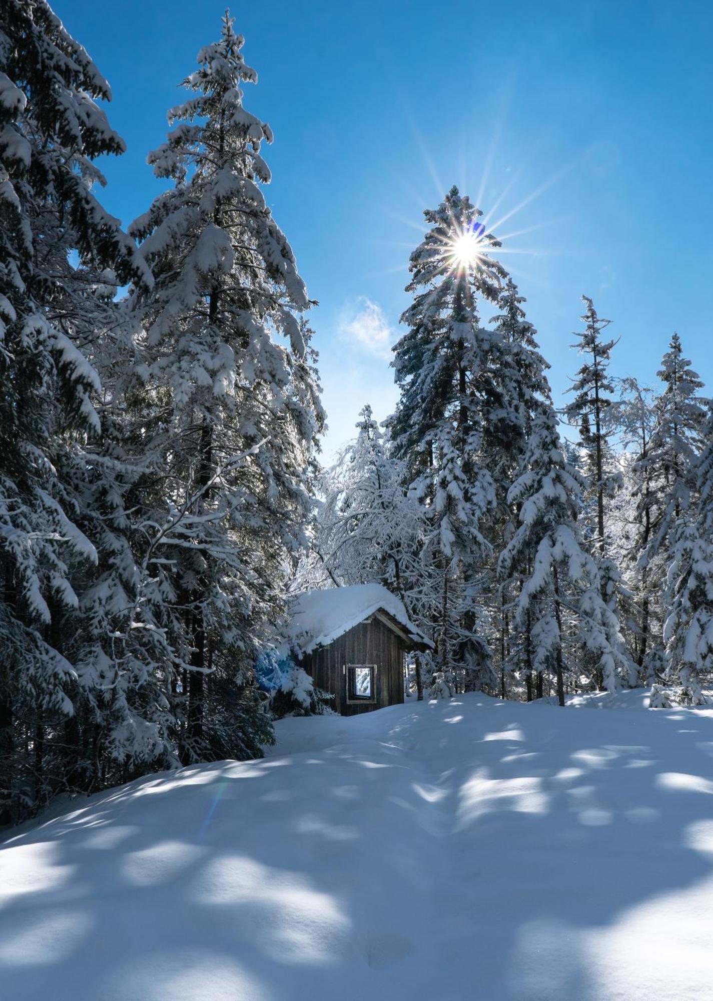 Ferienwohnung Bergpfote - Hund Herzlich Willkommen ไชเดกก์ ภายนอก รูปภาพ